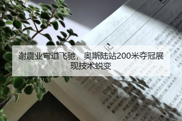 谢震业弯道飞驰，奥斯陆站200米夺冠展现技术蜕变